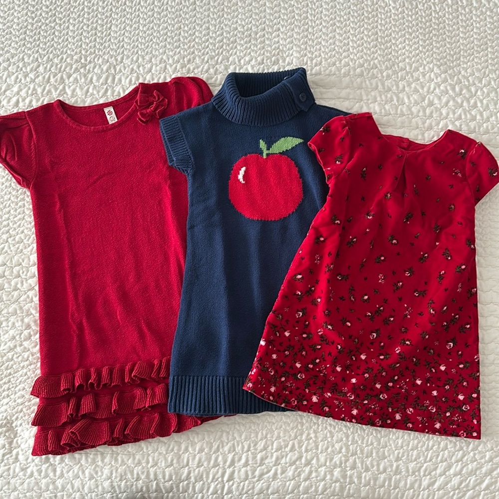 5T Girls Winter Dress Bundle